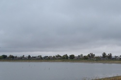 Озеро Михайловское в Михайловском районе Алтайского края